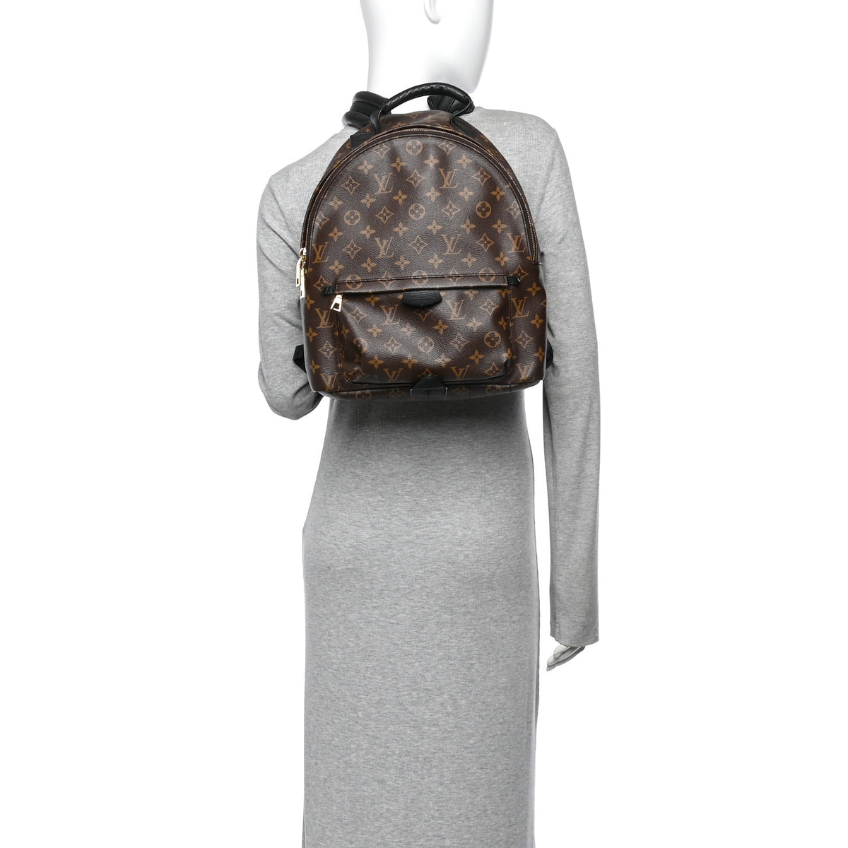 Monogram Palm Springs Backpack MM
