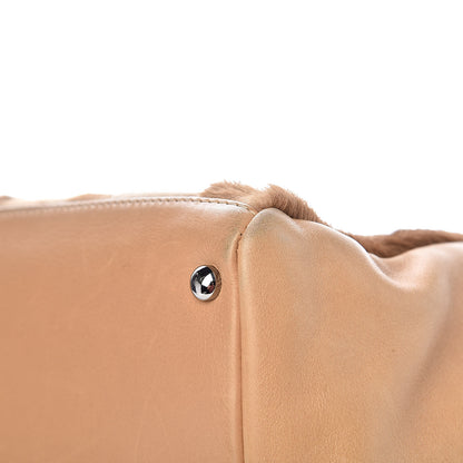 Chanel Lambskin Pony Hair Shoulder Bag Beige 13 of 20