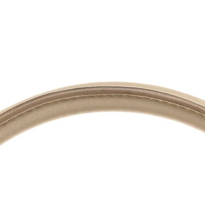 Celine Smooth Calfskin Medium Tri-Color Trapeze Multicolor 12 of 12