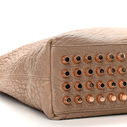 Alexander Wang Pebbled Lambskin Darcy Hobo Latte Rose Gold Hardware 9 of 11