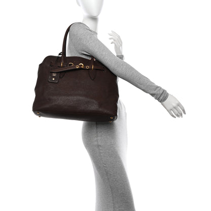 Miu Miu Nappa Medium Aventure Bag Radica 2 of 12
