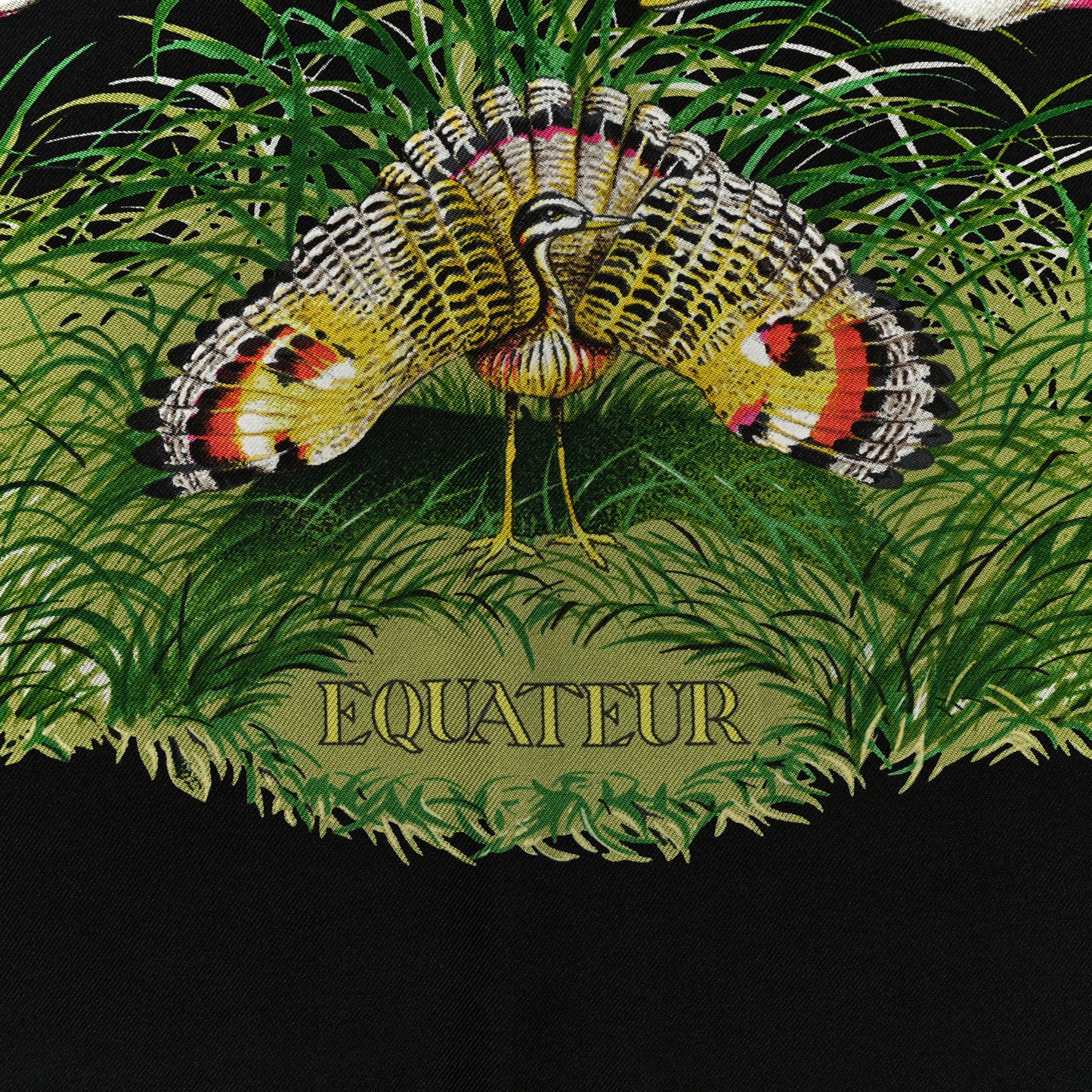 Silk Equateur Scarf 90 Black Vert Bleu