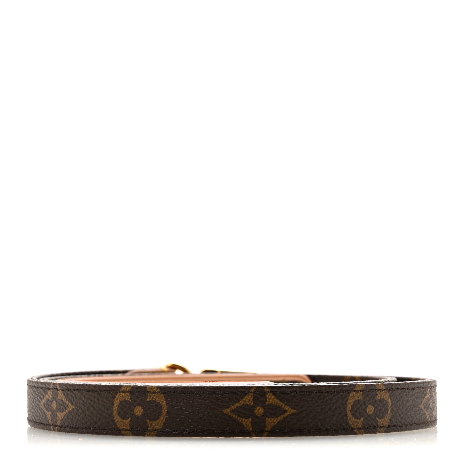 Louis Vuitton Monogram Dog Leash MM 2 of 6