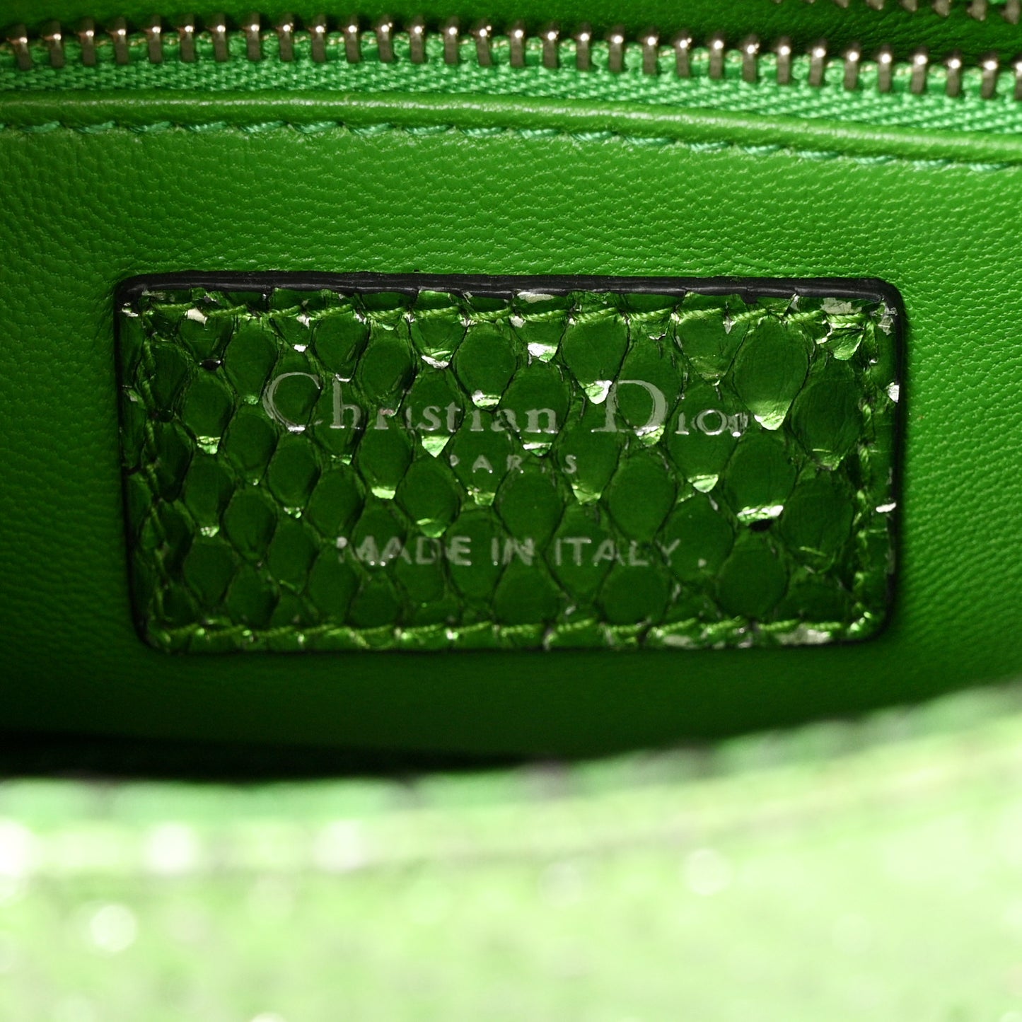 Metallic Snakeskin Mini Lady Dior Green