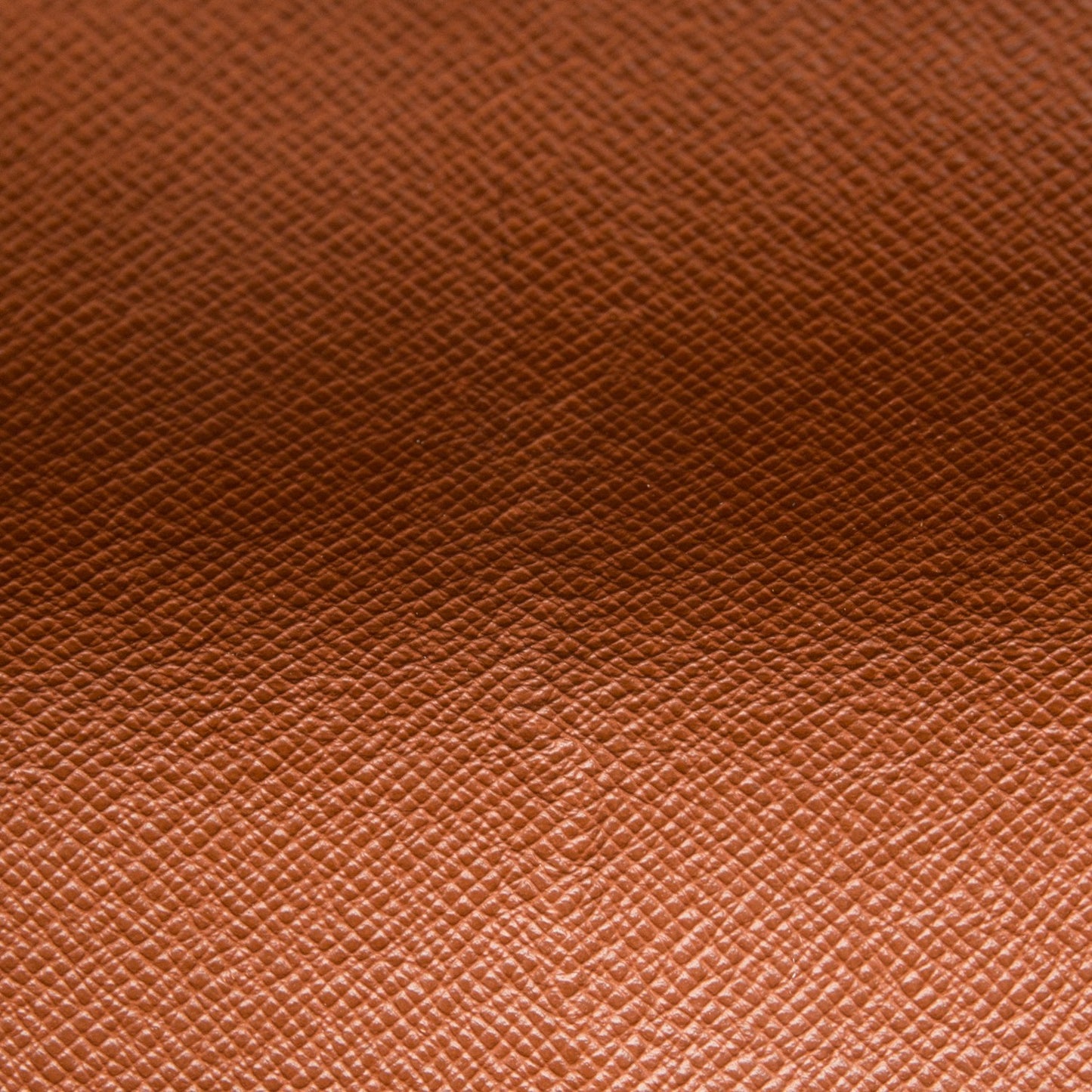 Monogram Musette Tango