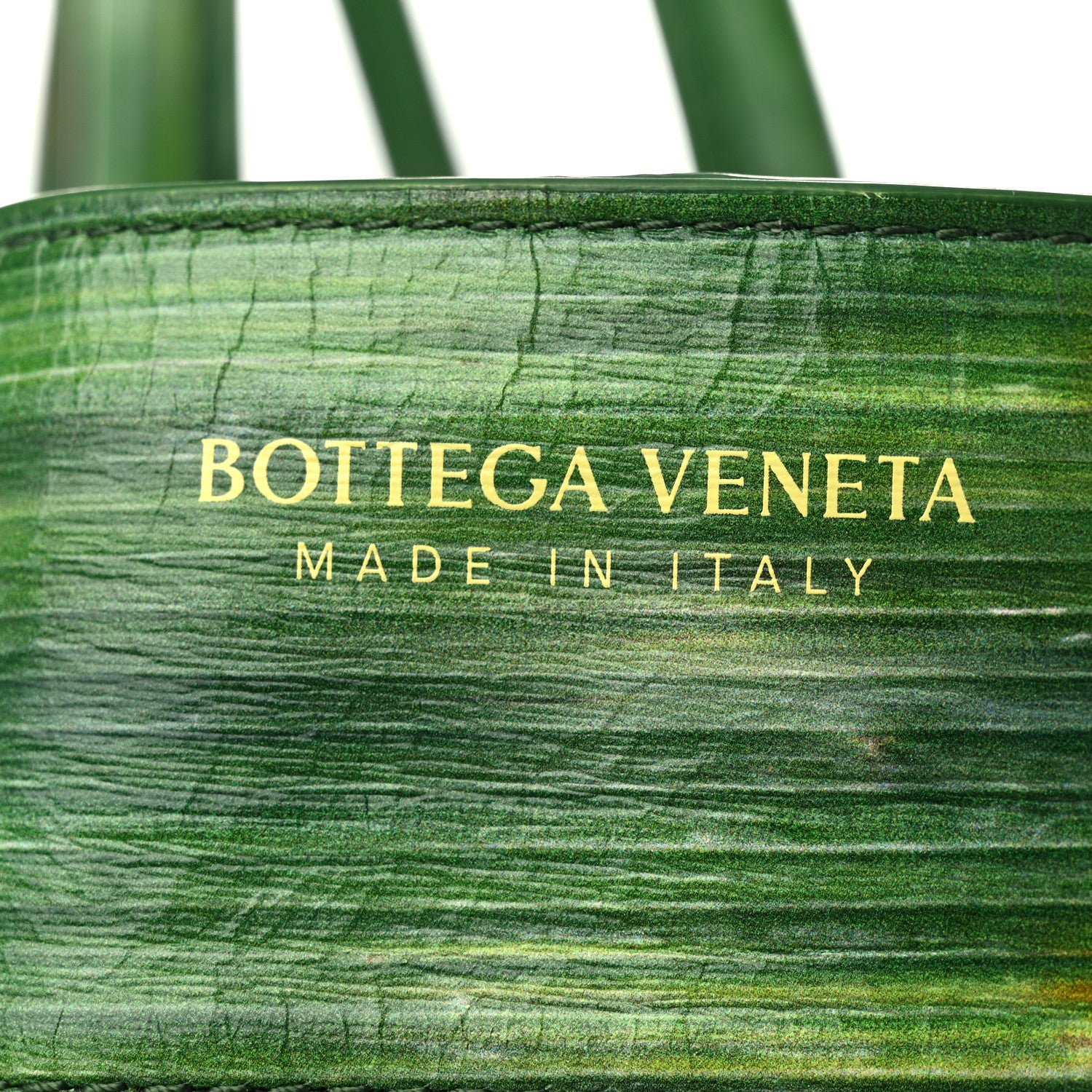 Bottega Veneta Calfskin Intrecciato Tropical Leaf Printed Large Arco Tote Raintree Seagrass Sherbert 6 of 9
