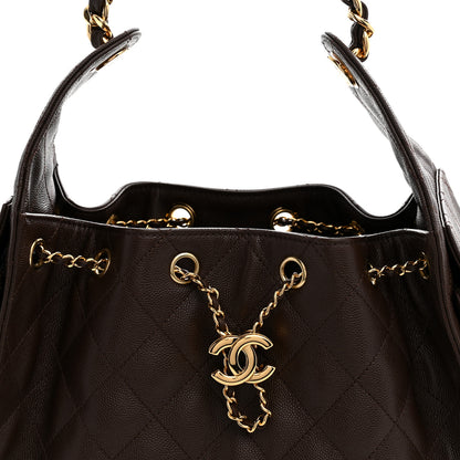 Chanel Caviar Quilted Small Chanel 25 Handbag Dark Brown 8 of 11