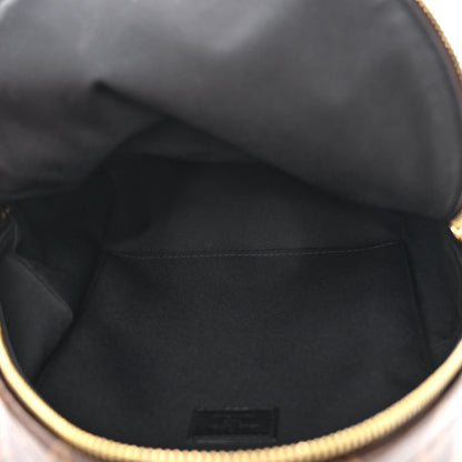 Louis Vuitton Monogram Palm Springs Backpack PM 5 of 9