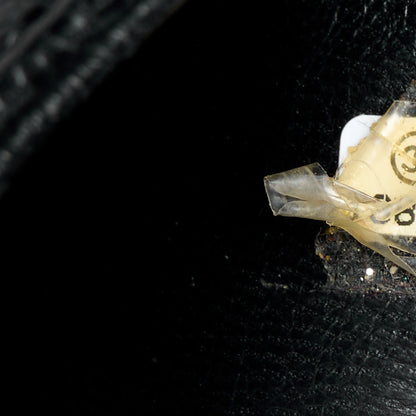 Chanel Caviar Quilted Maxi Single Flap Black 8 of 12