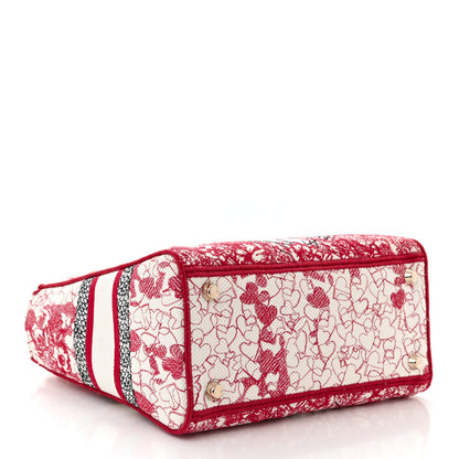 Christian Dior Canvas Embroidered Medium Dioramour D-Royaume Lady D-Lite Red Multicolor 4 of 10