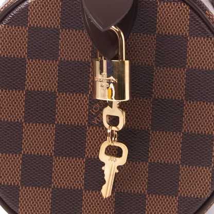Louis Vuitton Damier Ebene Neo Papillon 6 of 8