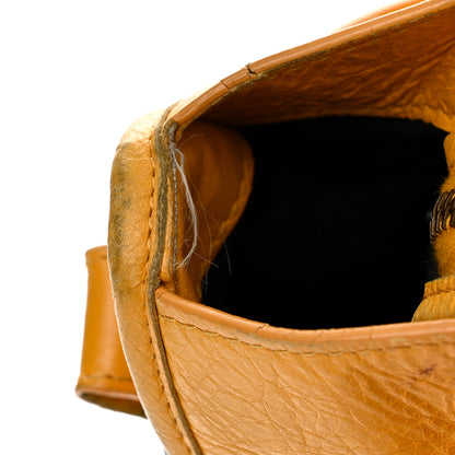 Balenciaga Agneau Classic Hardware City Mangue 13 of 18