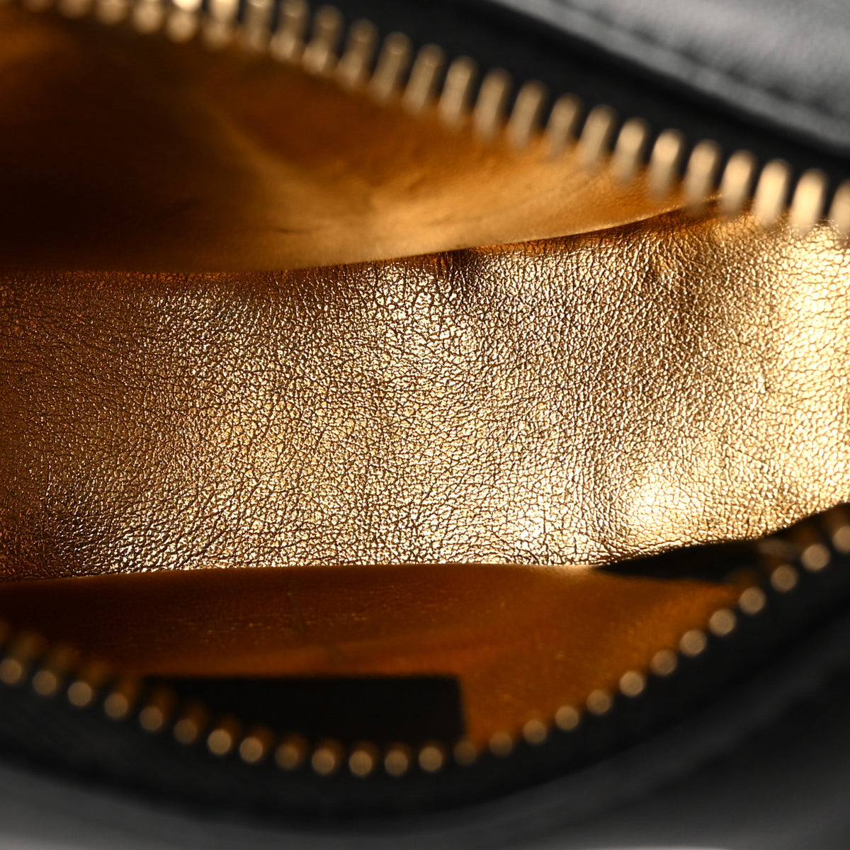 Vitello Grace Matte Nano Fendigraphy Hobo Charm Black