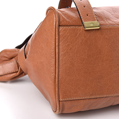Mulberry Soft Buffalo Medium Alexa Oak 5 of 15