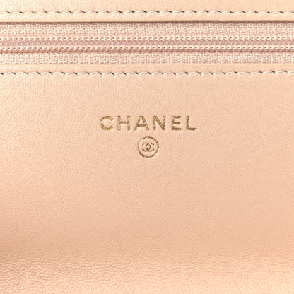 Chanel Lambskin Quilted Chanel 19 Wallet On Chain WOC Beige 6 of 14