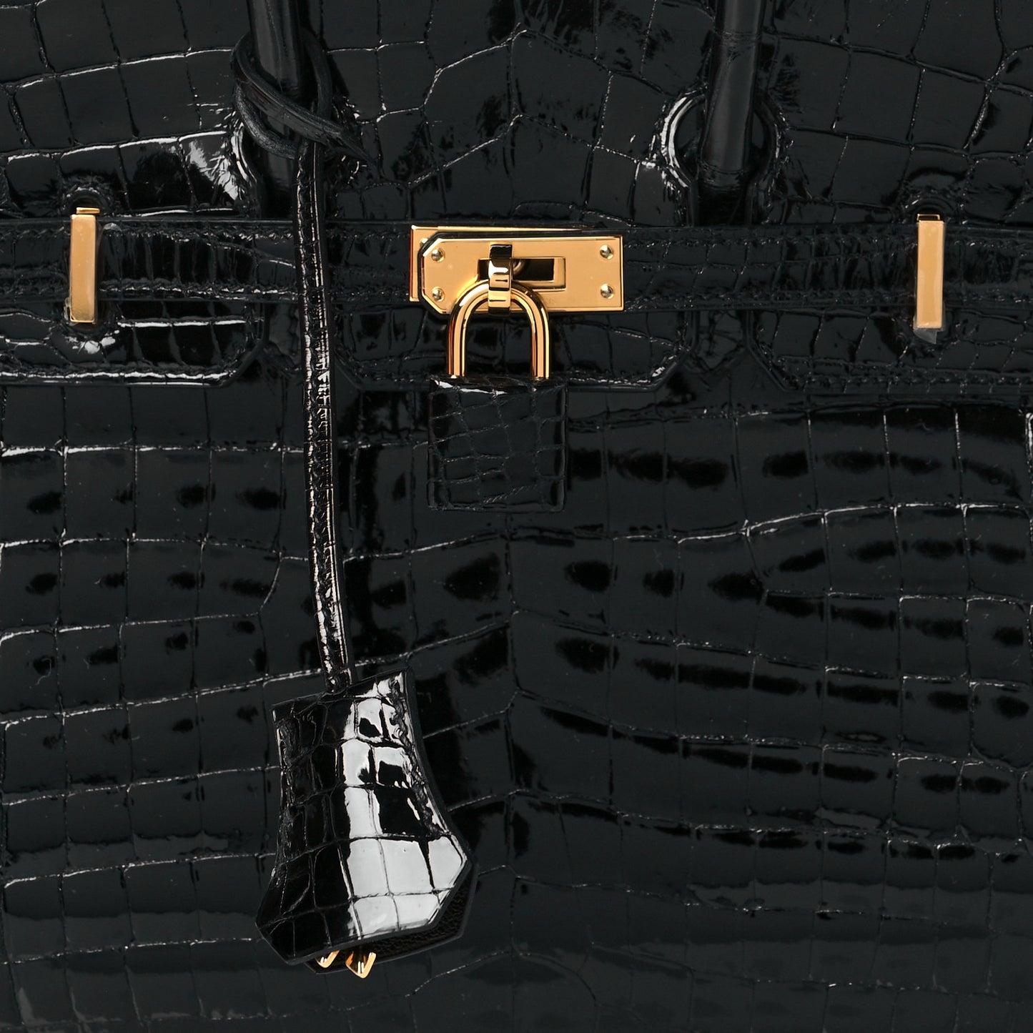 Shiny Niloticus Crocodile Birkin 25 Black