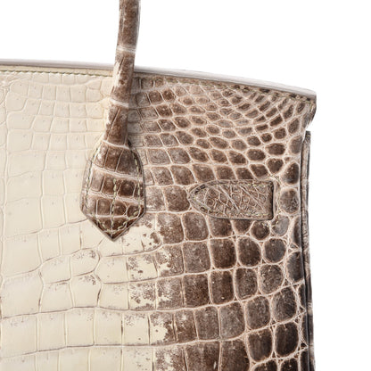 Hermes Matte Niloticus Crocodile Himalaya Birkin 30 Blanc 33 of 49