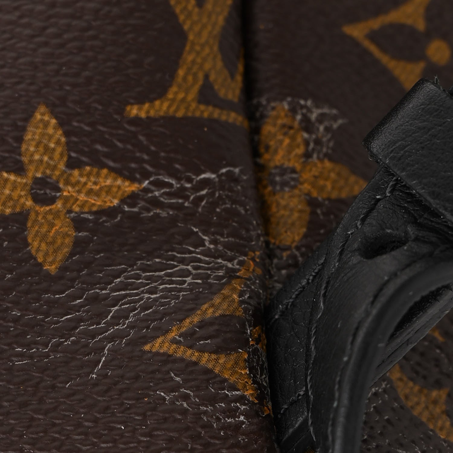 Louis Vuitton Reverse Monogram Palm Springs Backpack PM 11 of 12