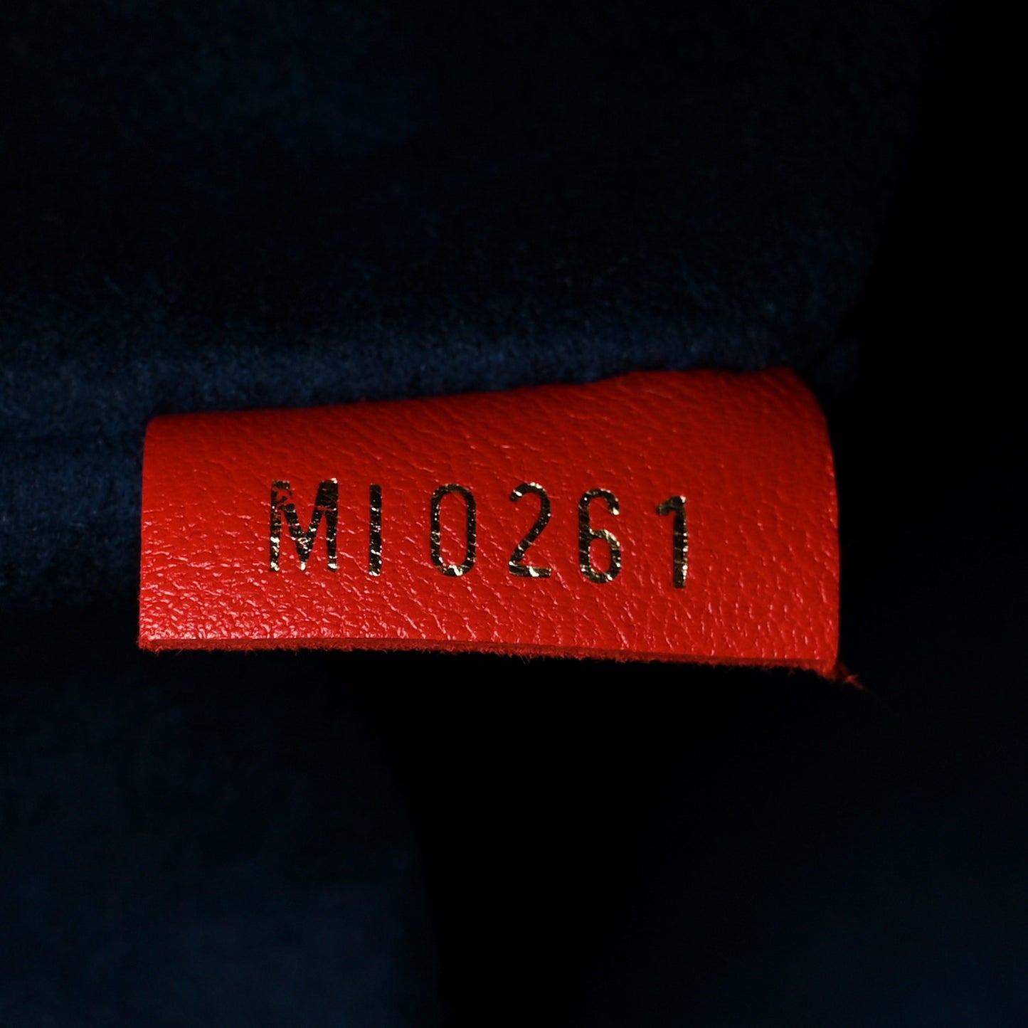 Lambskin Embossed Monogram Coussin PM Red