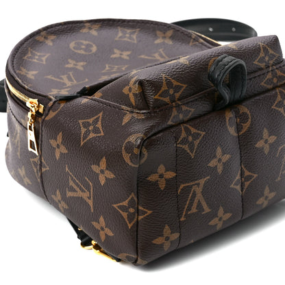 Louis Vuitton Monogram Palm Springs Backpack Mini 10 of 11