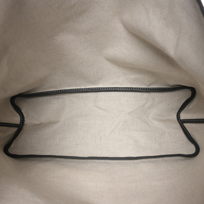 Goyard Goyardine Saint Louis PM Grey 6 of 11