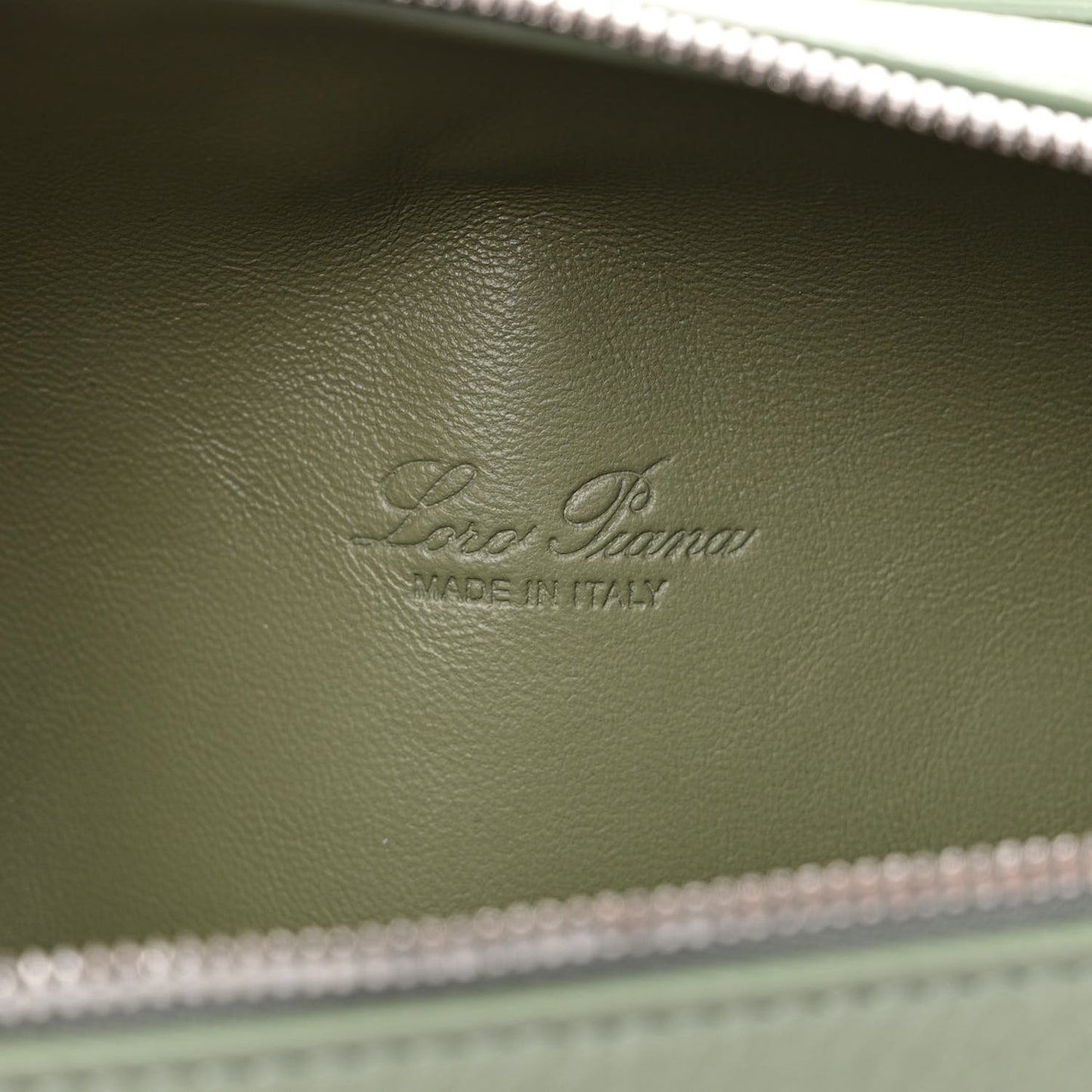 Grained Calfskin L19 Extra Pocket Pouch Sage Brush Leaves