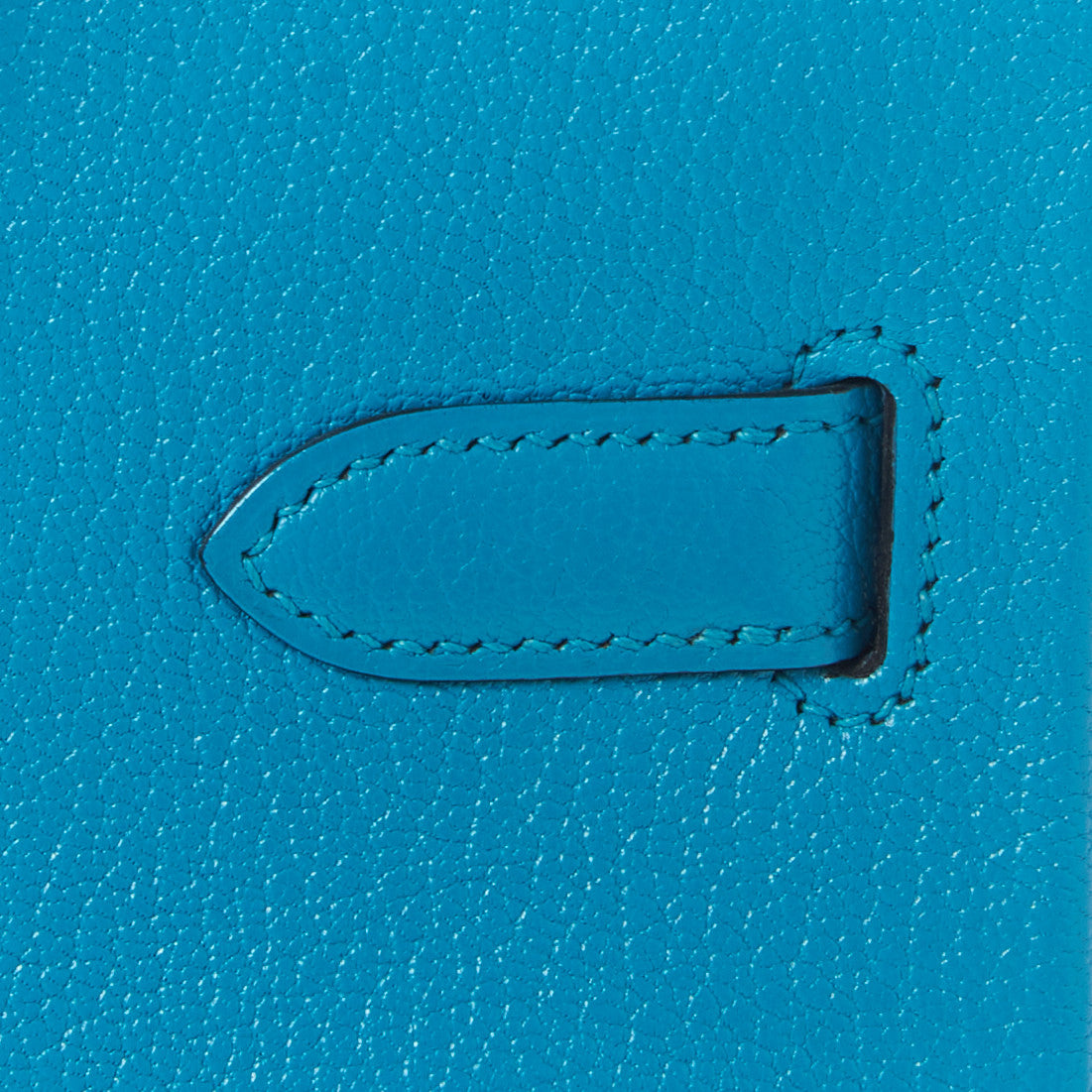 Hermes Chevre de Coromandel Birkin 30 9 of 32