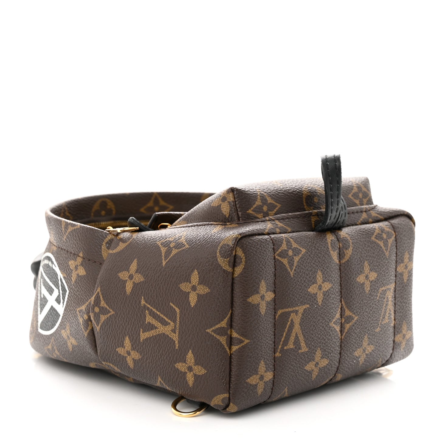 Monogram World Tour Palm Springs Backpack Mini