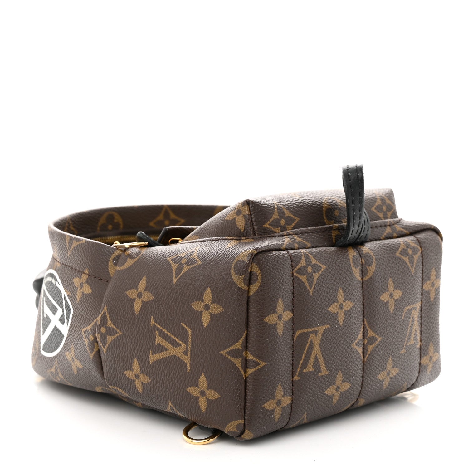 Louis Vuitton Monogram World Tour Palm Springs Backpack Mini 4 of 11