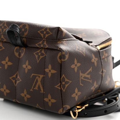 Louis Vuitton Monogram Palm Springs Backpack Mini 9 of 9