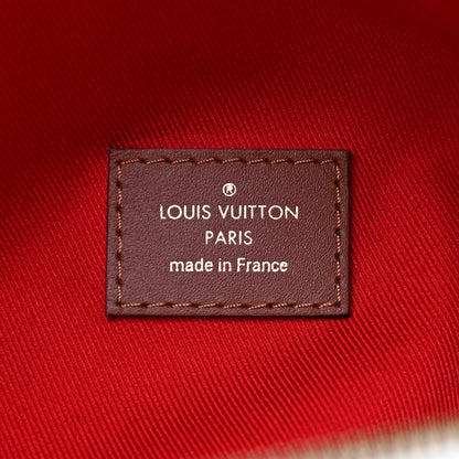 Louis Vuitton Monogram Teddy Bumbag 6 of 9