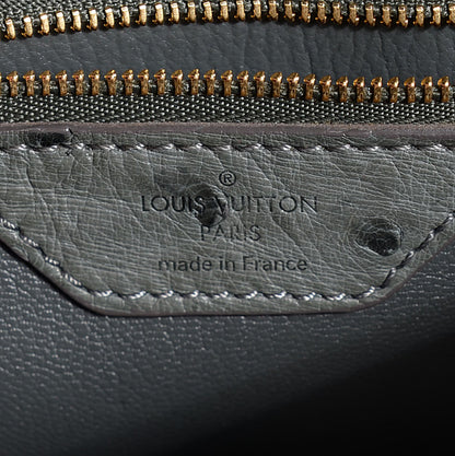 Louis Vuitton Ostrich L'Essentiel Gris 6 of 7