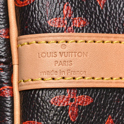 Louis Vuitton Catogram Speedy Bandouliere 30 Marron 7 of 9