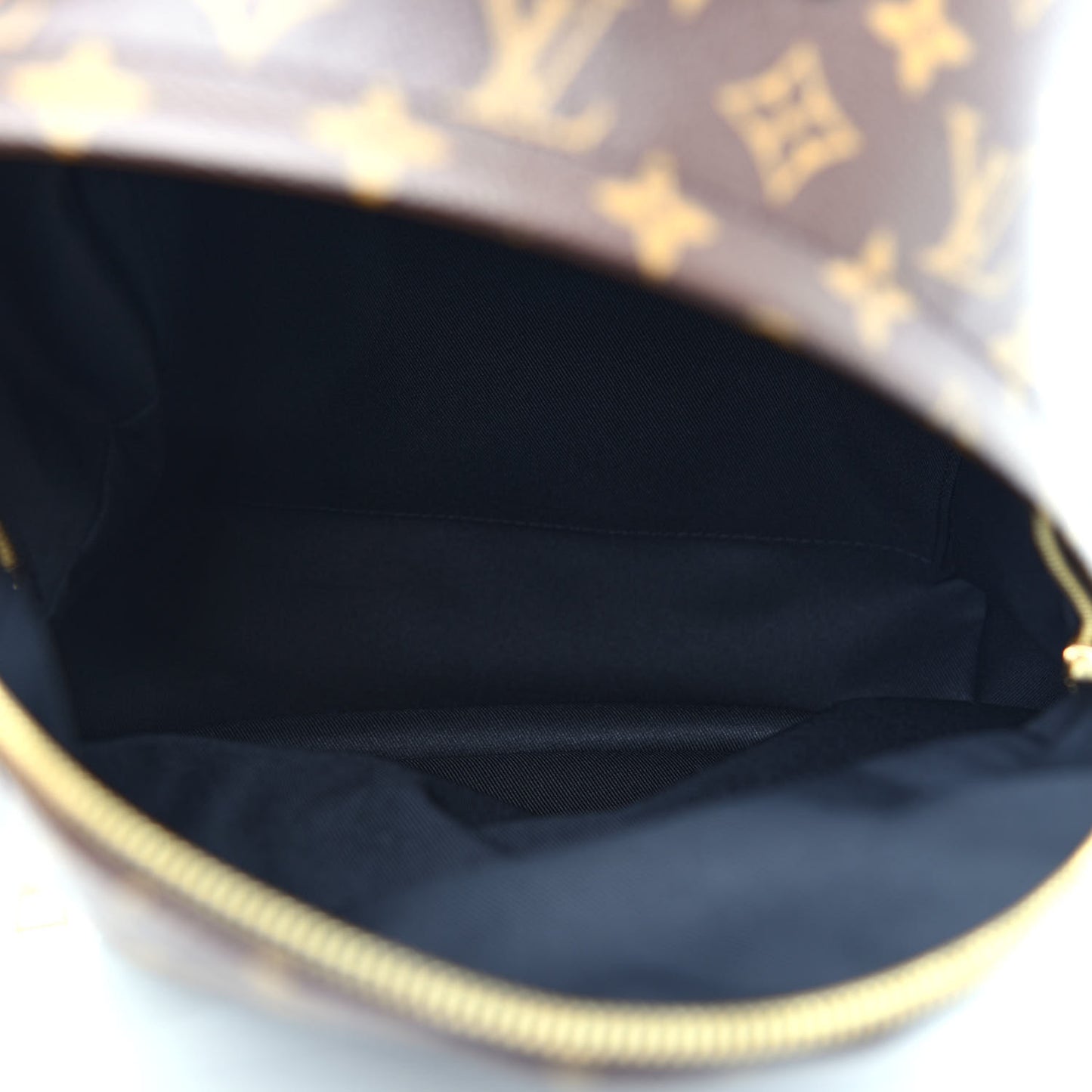Monogram Palm Springs Backpack MM