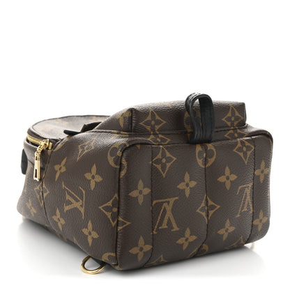 Louis Vuitton Monogram Palm Springs Backpack Mini 4 of 9