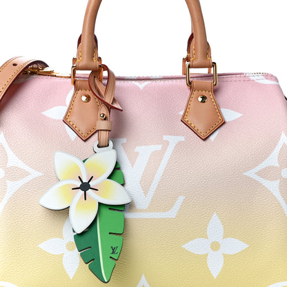 Louis Vuitton Monogram Giant By The Pool Speedy Bandouliere 25 Light Pink 8 of 12
