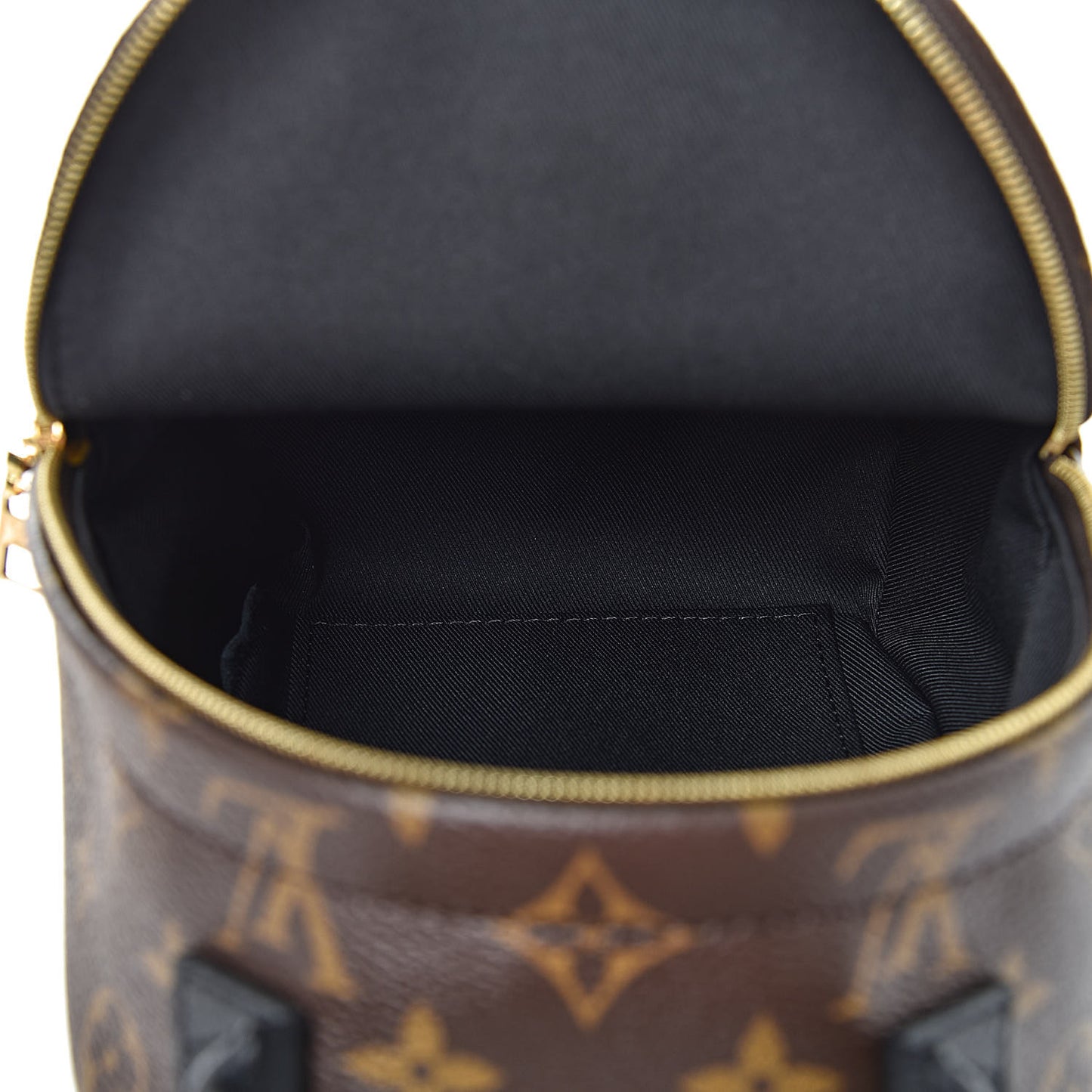 Monogram Palm Springs Backpack Mini