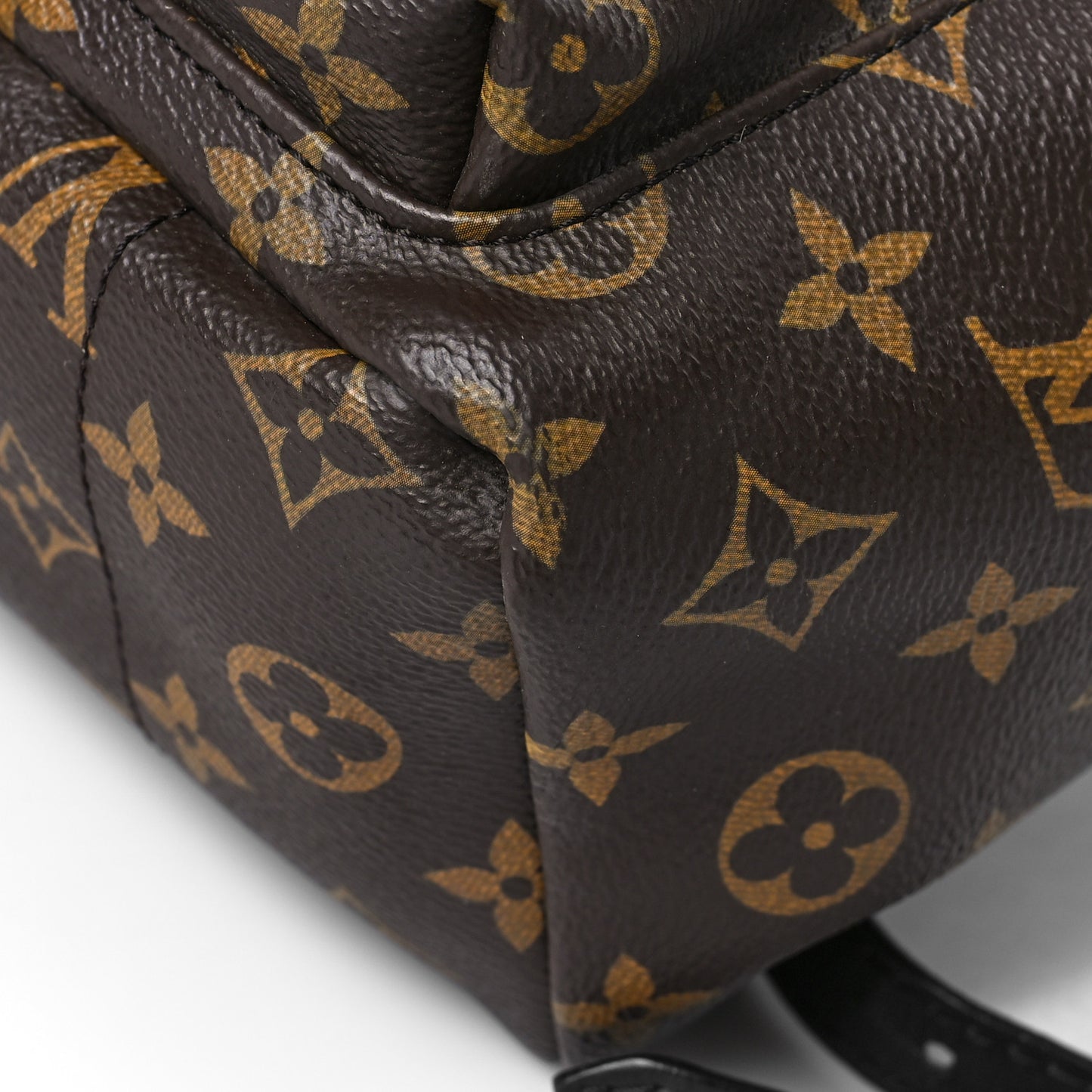Monogram Palm Springs Backpack PM
