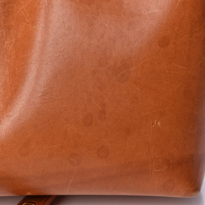 Mansur Gavriel Calfskin Lady Bag Cammello Azzurro 15 of 20