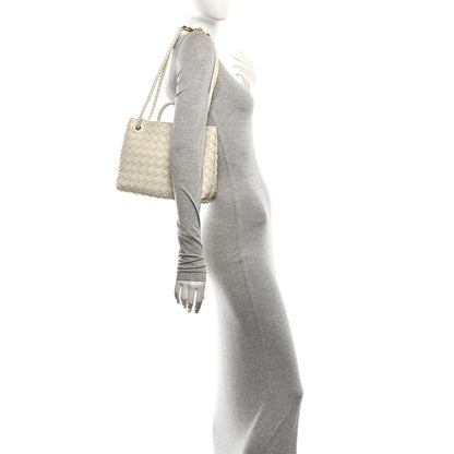 Bottega Veneta Nappa Intrecciato Small Andiamo Shoulder Bag Sea Salt 2 of 9