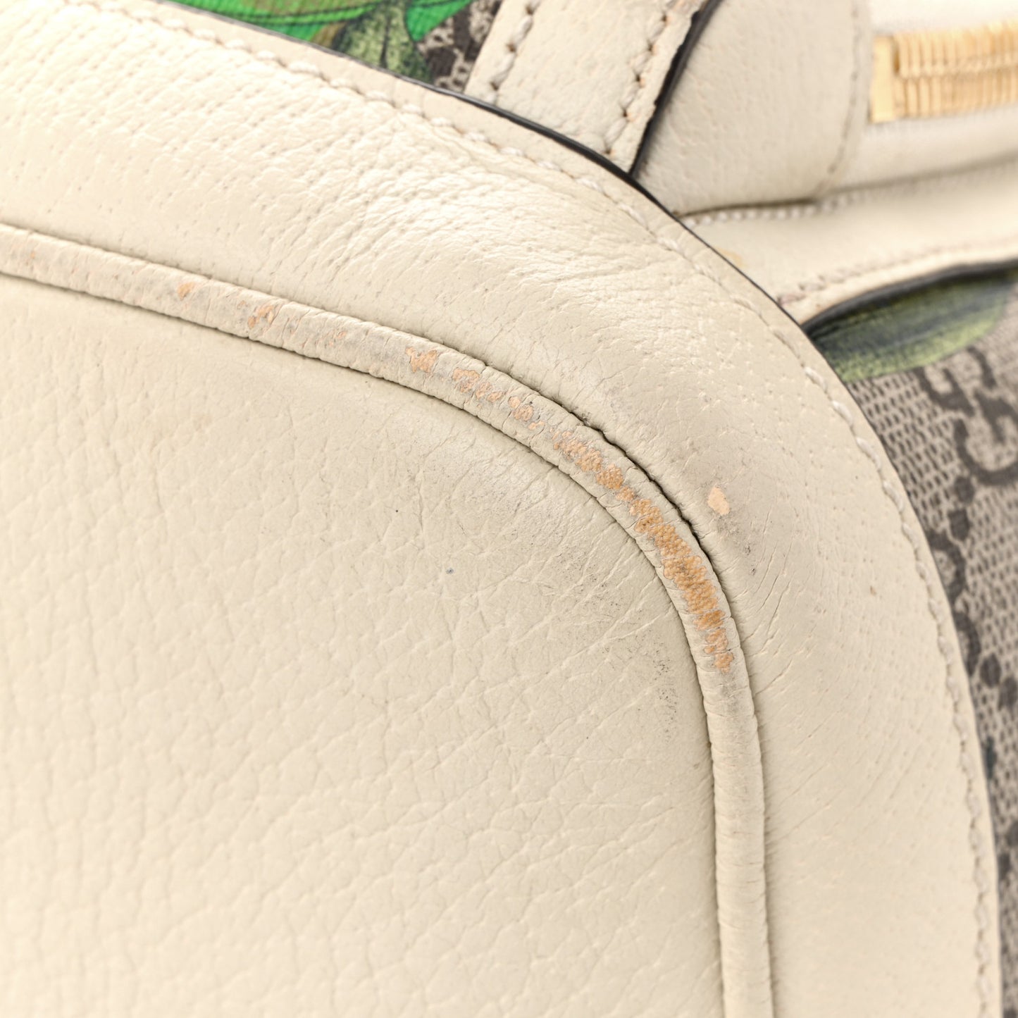 GG Supreme Monogram Flora Web Small Ophidia Day Backpack White