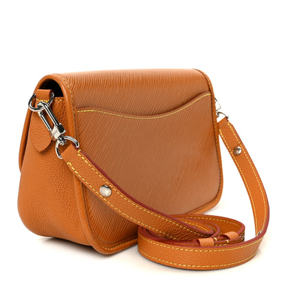 Louis Vuitton Epi Buci Crossbody Gold Honey 3 of 9