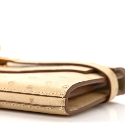 Hermes Ostrich Kelly Longue Wallet Trench 8 of 9