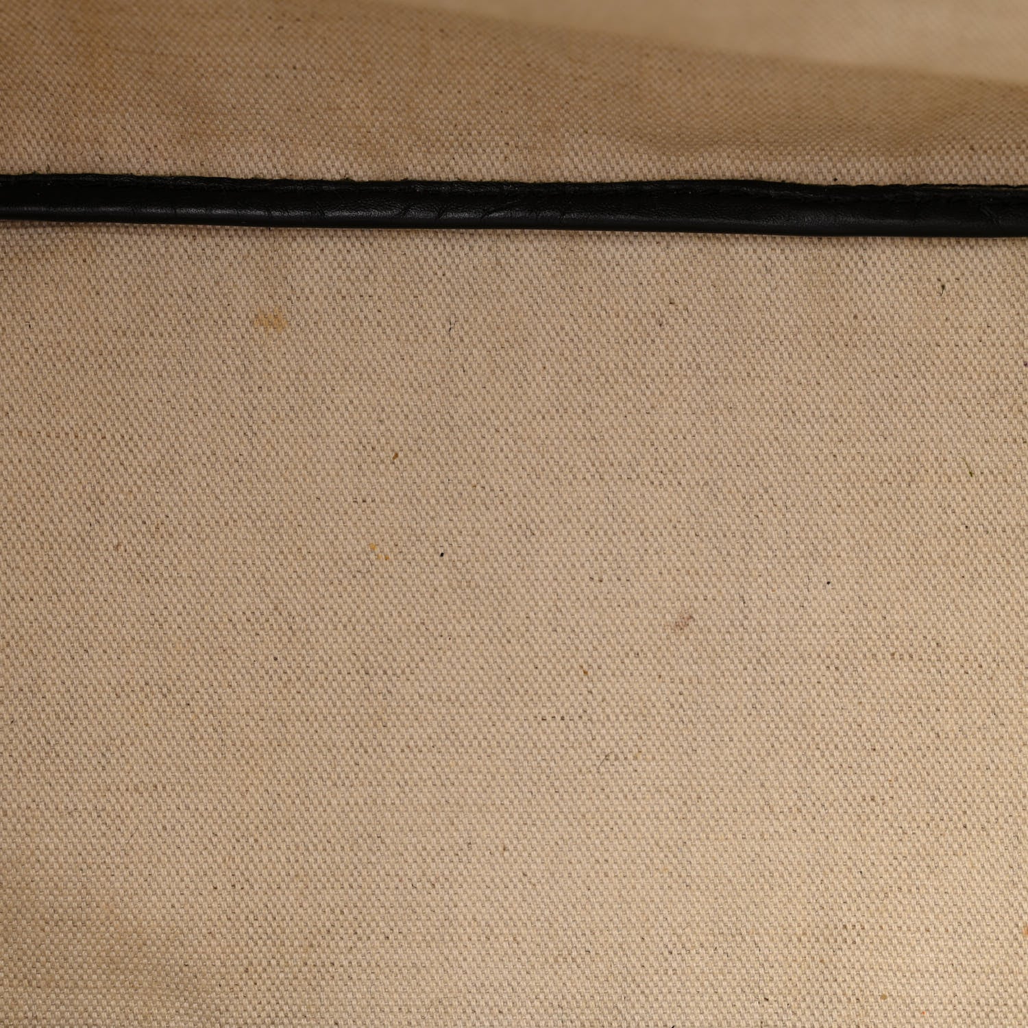 Goyard Goyardine Saint Louis PM Black 12 of 19