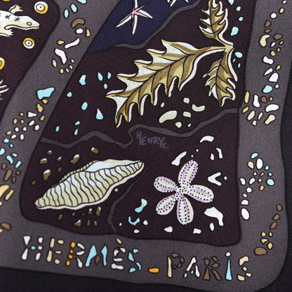 Hermes Silk Chemins De Garrigue Scarf 90 Black 5 of 5