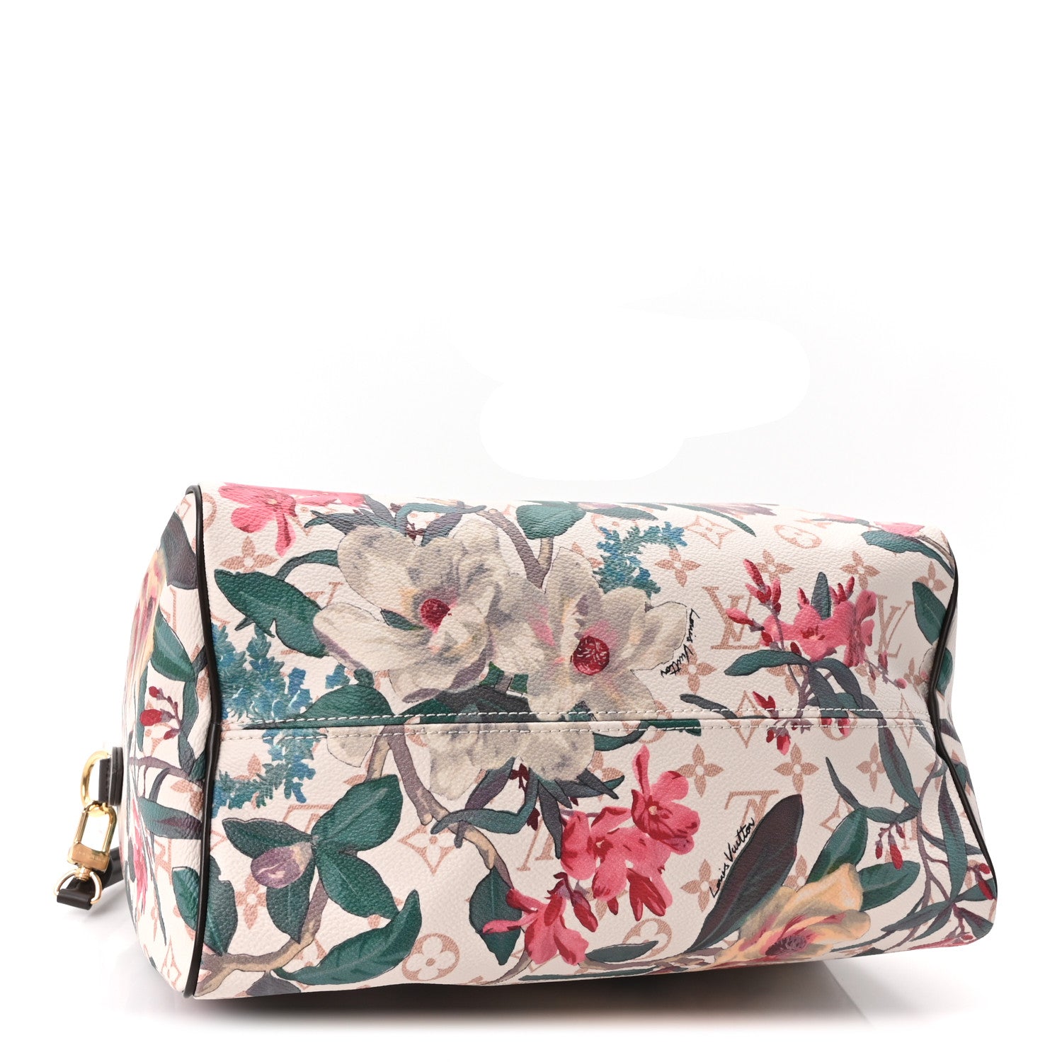 Louis Vuitton Monogram Dune Botanical Speedy Soft 30 4 of 10