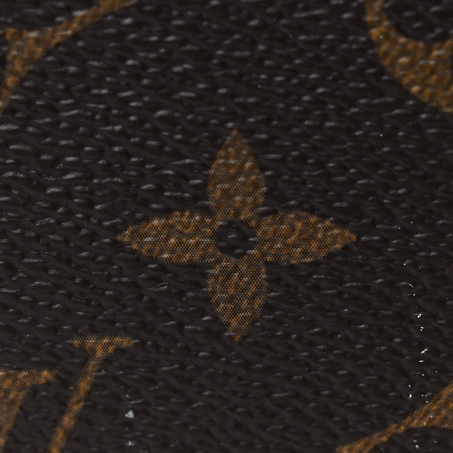 Monogram Pegase Legere Business 55