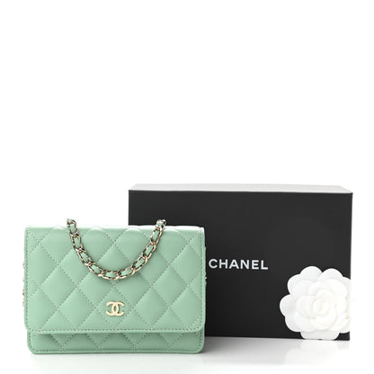 Chanel Lambskin Quilted Mini Wallet On Chain WOC Light Green 13 of 13