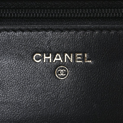 Chanel Raffia Jute Striped Urban Jungle Wallet On Chain WOC Black Beige 6 of 11
