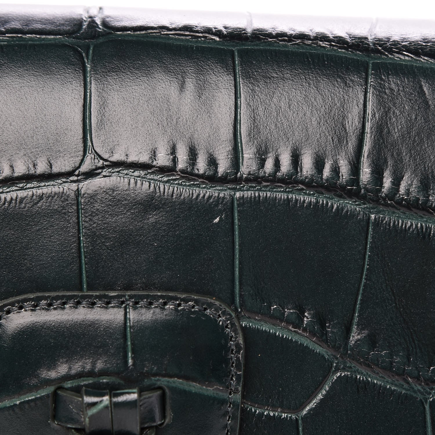 Celine Calfskin Crocodile Embossed Medium Tassel Bag Amazone 13 of 13